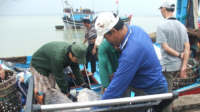 Những con tàu no tết Hoàng Sa, Trường Sa - ảnh 1